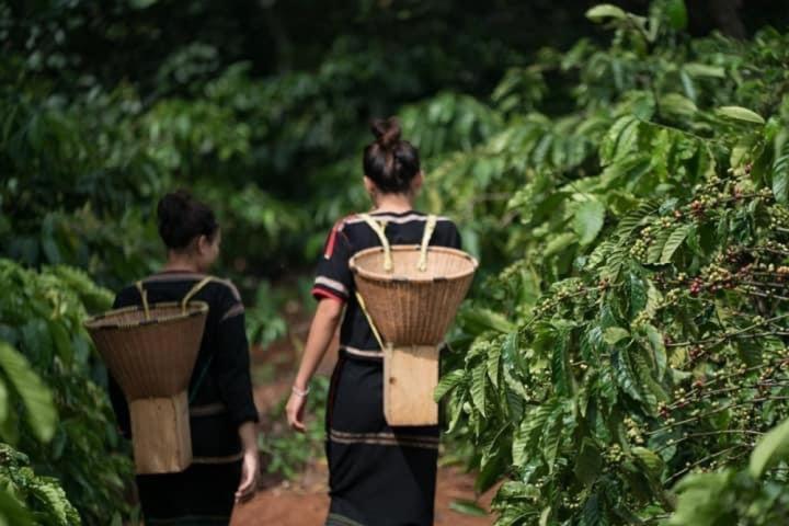 Dugiang Homestay Buôn Ma Thuột Esterno foto