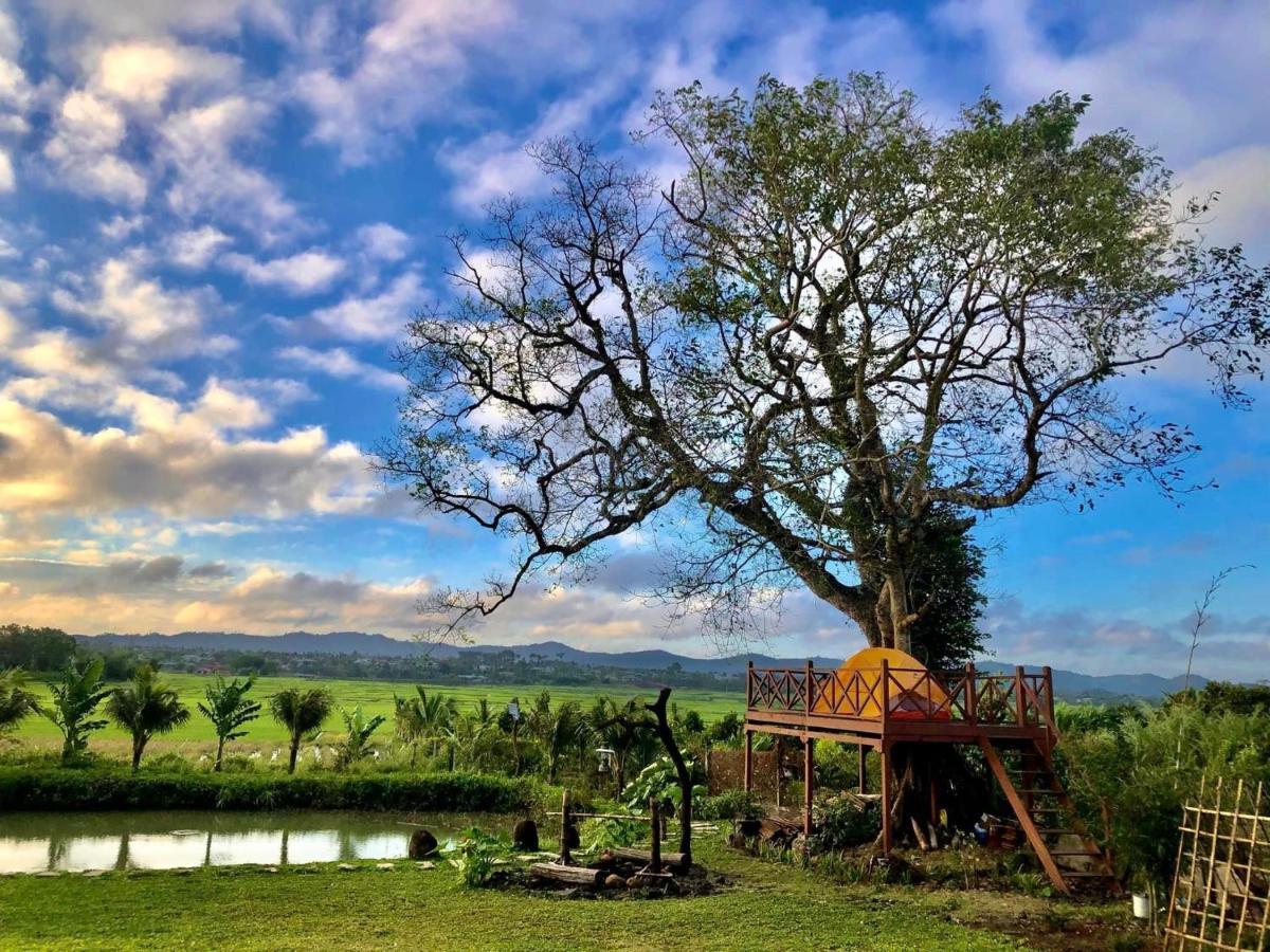 Dugiang Homestay Buôn Ma Thuột Esterno foto