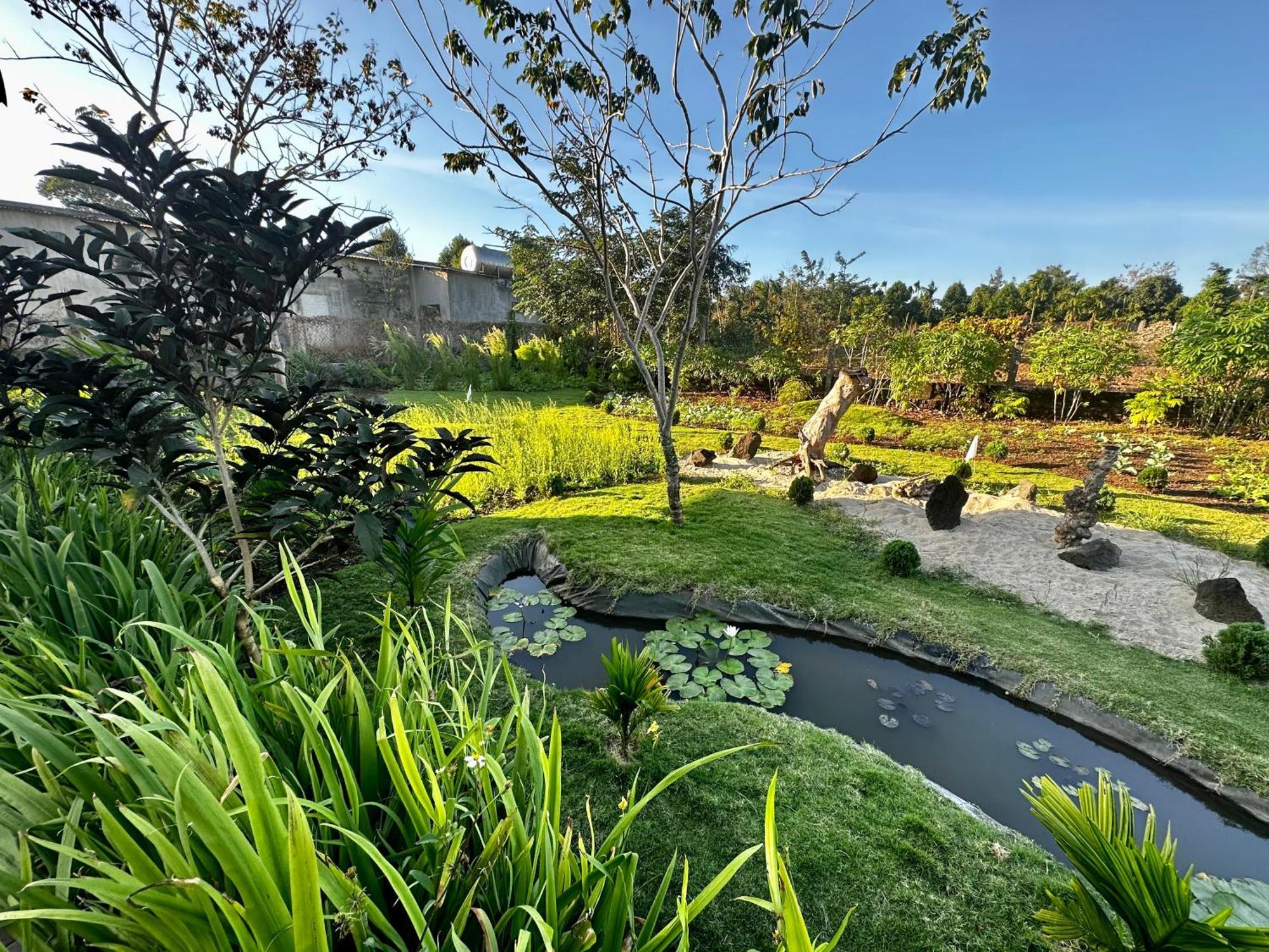 Dugiang Homestay Buôn Ma Thuột Esterno foto